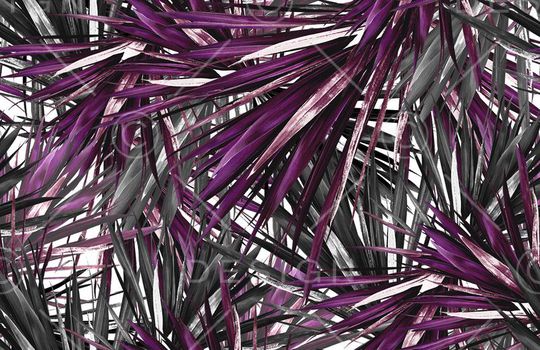 数码印花华亿平台图片