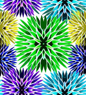 409896-绽放炫彩芦荟