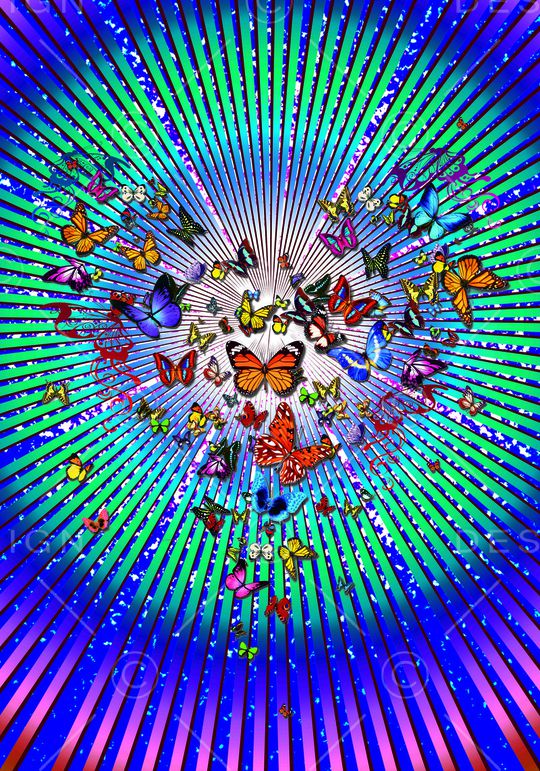 动物印花华亿平台图片