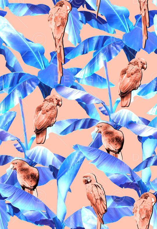 大牌印花华亿平台图片