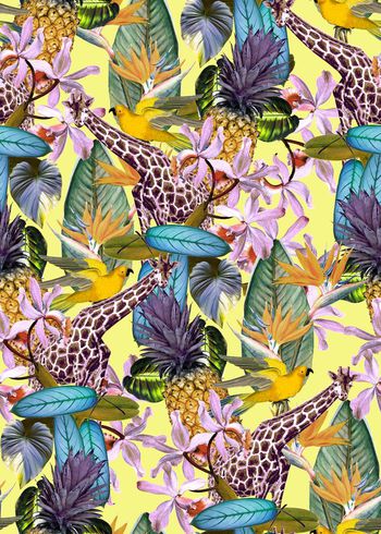 409980-狂野热带雨林