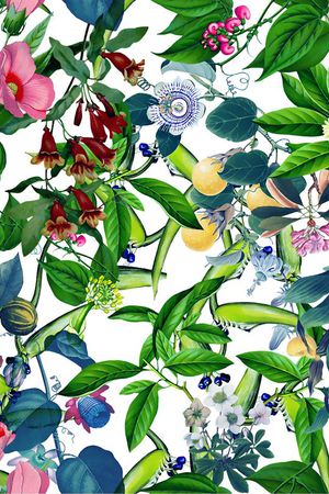 大牌印花华亿平台图片