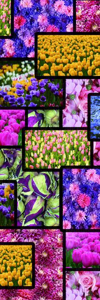 休闲印花华亿平台图片