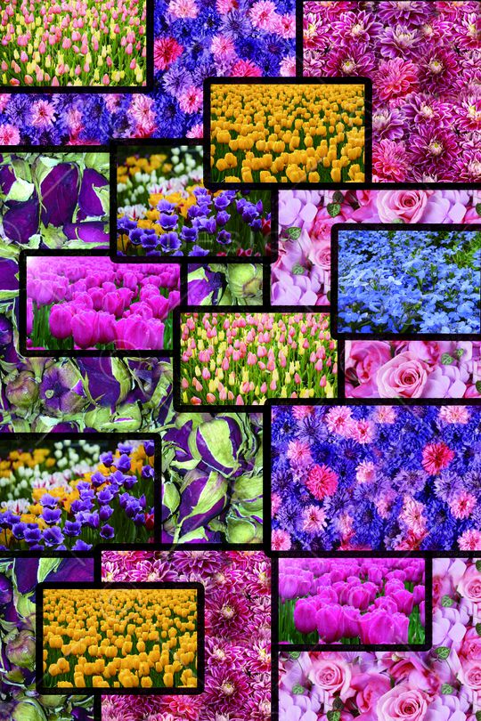 休闲印花华亿平台图片