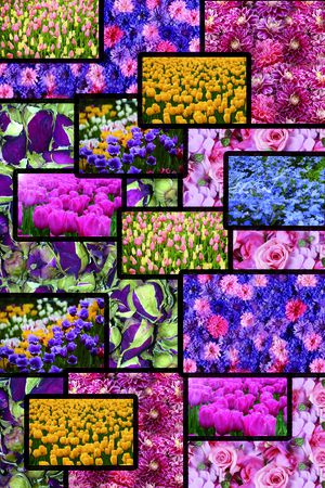 休闲印花华亿平台图片