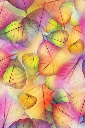 清爽印花华亿平台图片