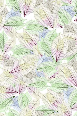 休闲印花华亿平台图片