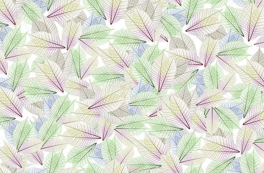 休闲印花华亿平台图片