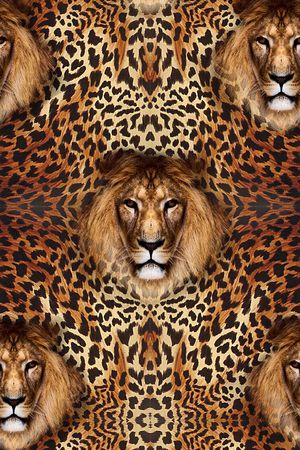 虎头印花华亿平台图片