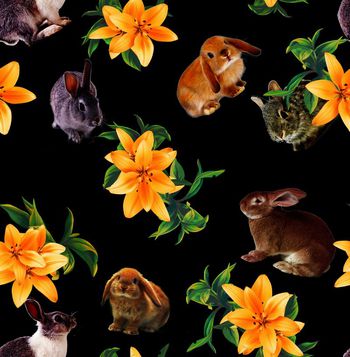 410300-x16eyees-2k-b