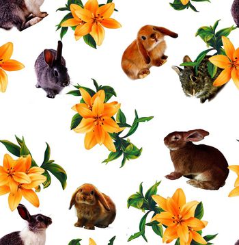 410301-x16eyees-2k-b2