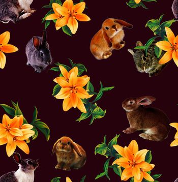 410302-x16eyees-2k-b3