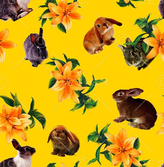 欧美风格印花华亿平台图片