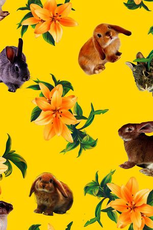 欧美风格印花华亿平台图片