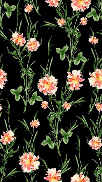 410304-amnjjiopzzz-3