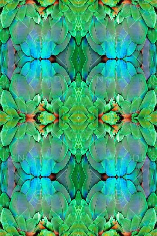 羽毛 拼接花纹印花华亿平台图片