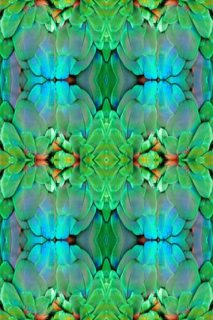 羽毛 拼接花纹印花华亿平台图片