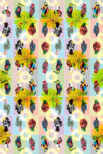 410387-时尚 鸟  格纹 色块 