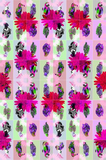 410388-时尚 鸟  格纹 色块 