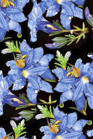 春夏华亿平台印花华亿平台图片