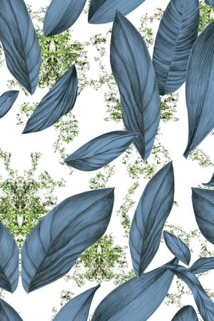 热带印花华亿平台图片