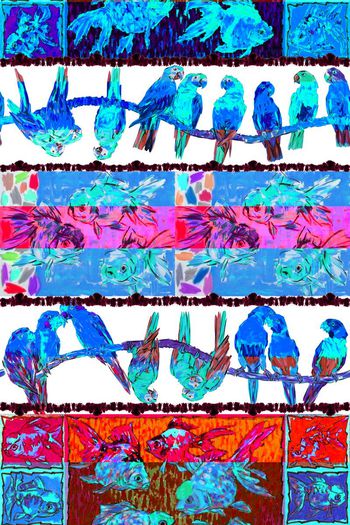 410505-鹦鹉 金鱼 名家手绘