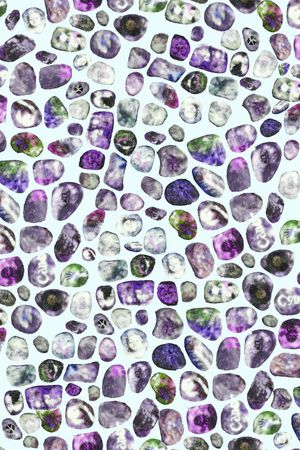 戏曲人物印花华亿平台图片