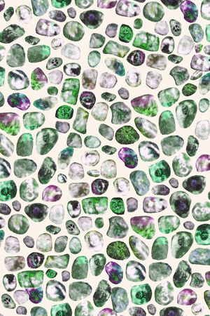 戏曲人物印花华亿平台图片