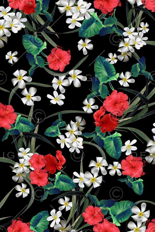 白色小花印花华亿平台图片