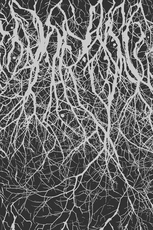 肌理印花华亿平台图片