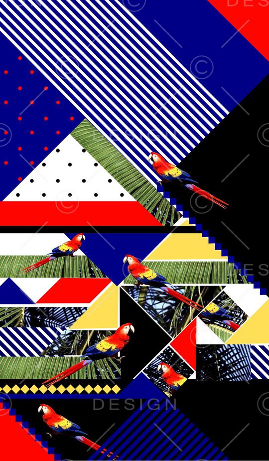 动物印花华亿平台图片