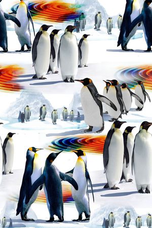 流行 时尚  新潮印花华亿平台图片