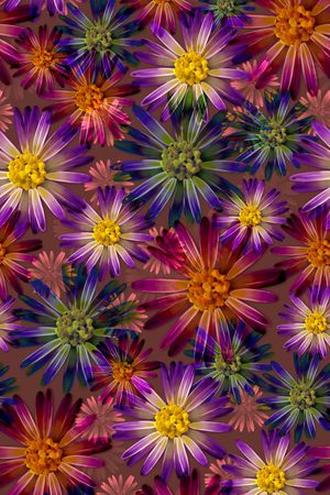 清新印花华亿平台图片