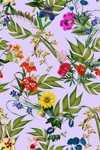 411044-2015春夏清新花卉植物组合