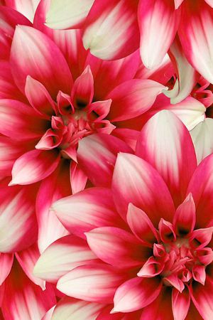 潮流印花华亿平台图片