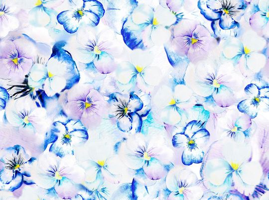 花朵印花华亿平台图片