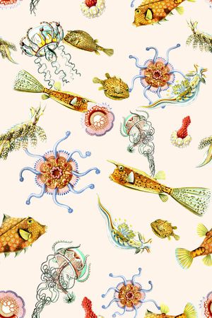 时尚印花华亿平台图片