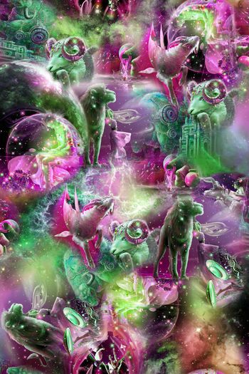 411252-星座 个性 