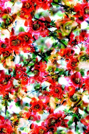 抽象印花华亿平台图片