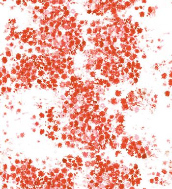 411365-时尚单色花卉印花