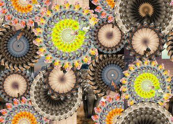 411367-个性抽象万花筒花圈风景照片结合数码