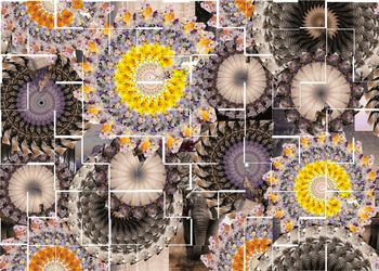 411368-个性抽象万花筒花圈风景照片结合数码