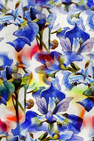 花卉 蝴蝶兰印花华亿平台图片