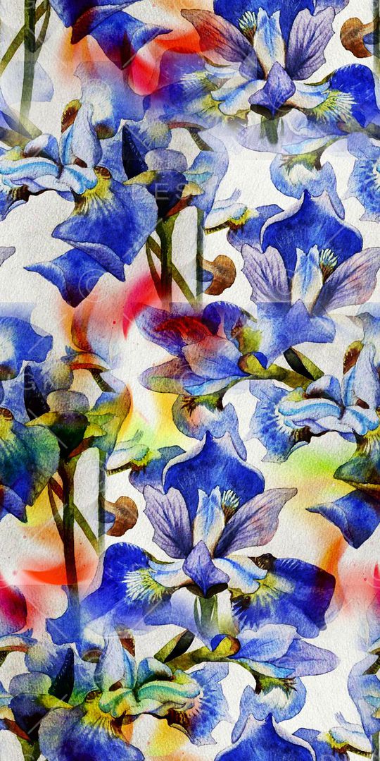 花卉 蝴蝶兰印花华亿平台图片