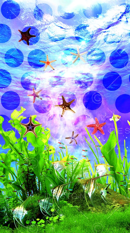 热带印花华亿平台图片