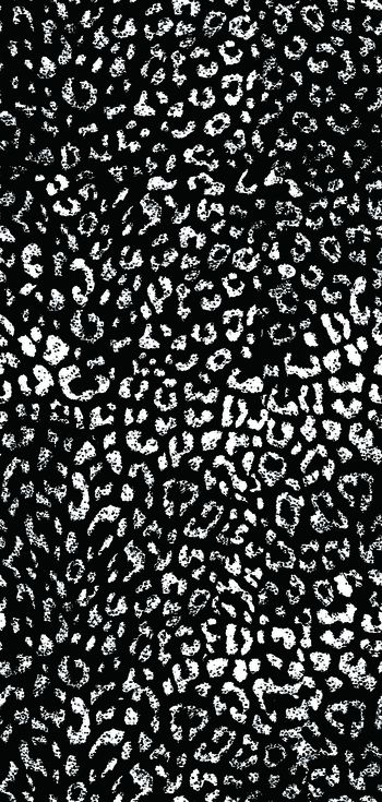 411626-斑点豹纹