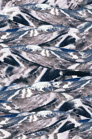 时尚 流行印花华亿平台图片