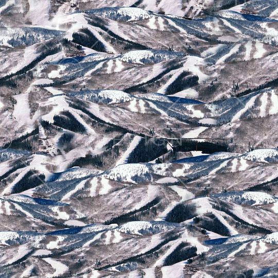 时尚 流行印花华亿平台图片