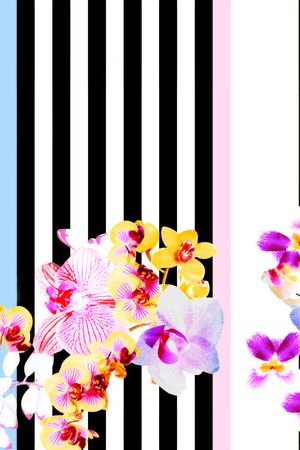 兰花裤印花华亿平台图片