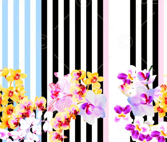 兰花裤印花华亿平台图片